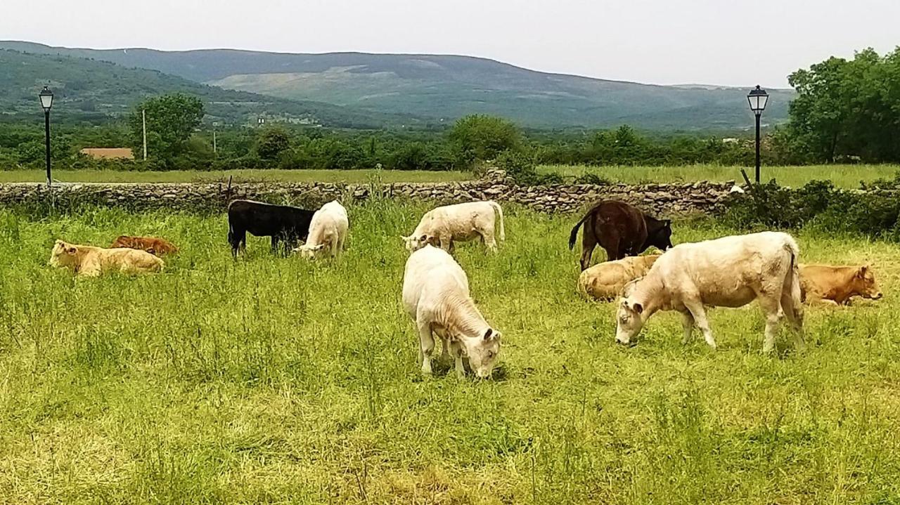 Casa Rural El Remolon Pinuecar Εξωτερικό φωτογραφία