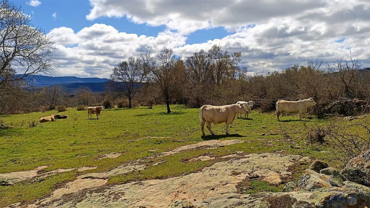Casa Rural El Remolon Pinuecar Εξωτερικό φωτογραφία